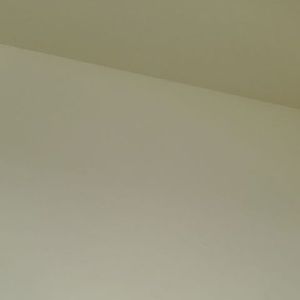 Meet your Posher, Ron